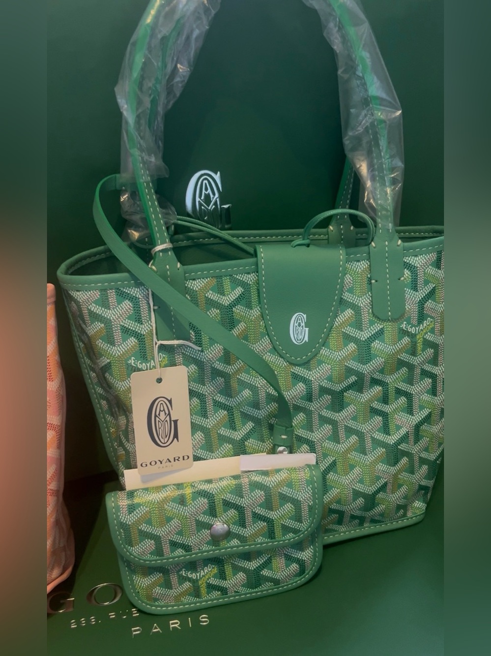 💥 NEW💥 LIMITED EDITION SAC ANJOU MINI VERT GOYARD NWT FULLSET